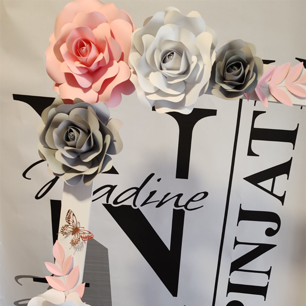 Ramovi za fotografisanje